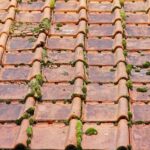 Démoussage toiture – locataire ou propriétaire, qui doit assumer la responsabilité