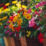 Plantes pour jardinières extérieures : comment créer la collection parfaite