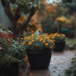 Fleurs à planter en octobre : conseils et astuces pour un jardin fleuri