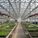 jardinerie